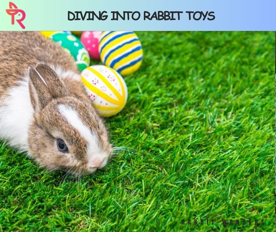 Diving into Rabbit Toys