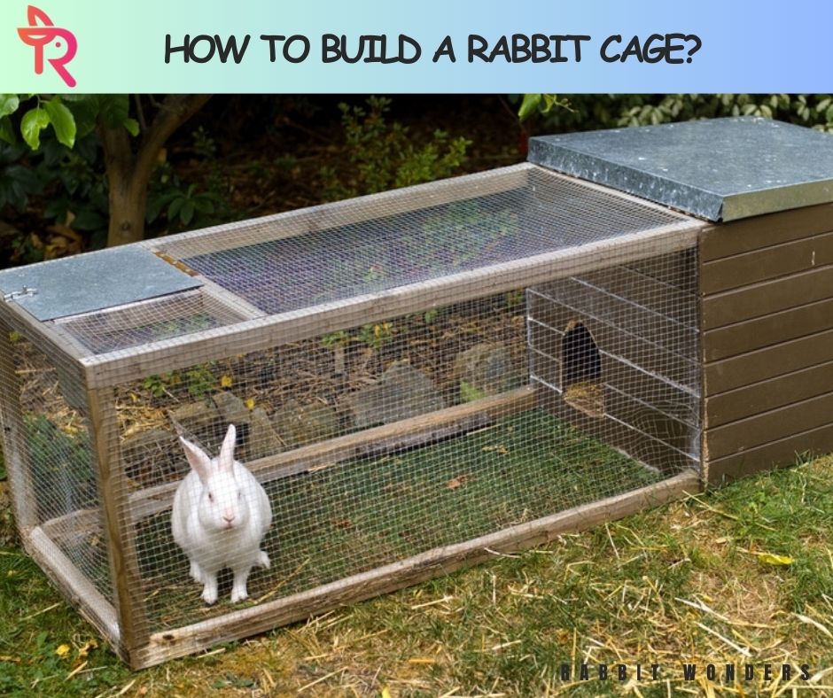How to Build a Rabbit Cage?